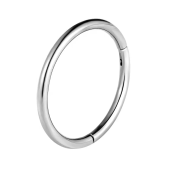 Пирсинг Сегментное кольцо (кликер)  1,6мм Диаметр 10мм